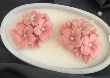 Ekran Alıntısı